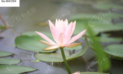 肩颈痛的联合用药方法-肩颈疼痛特效药有哪些专区_治疗颈肩痛的药专区_肩颈痛的联合用药网